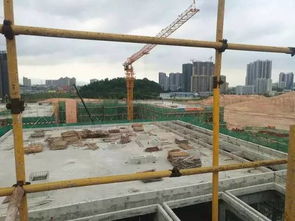 新客廳，新生活 鶴山城市建設(shè)工程施工引領(lǐng)未來(lái)社區(qū)新風(fēng)尚