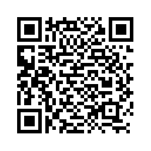 2023年陜西貨物貿易進出口總值達4042.06億元 逆勢增長背后的韌性探析